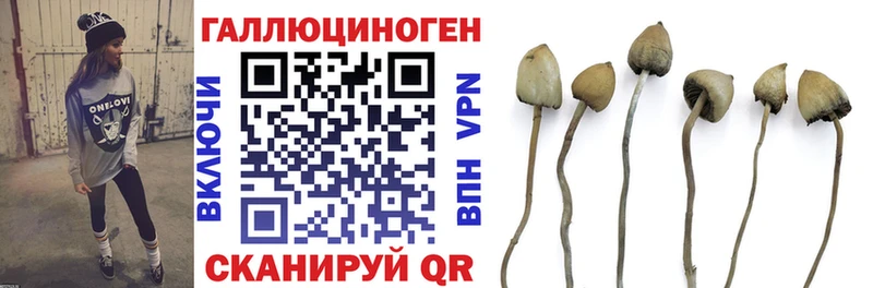 Купить  Юхнов  Галлюциногенные грибы ЛСД 